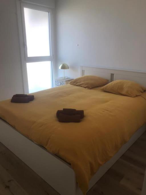 Superbe Appartement Arcachon 拉特斯特德布赫 外观 照片